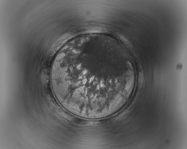 X0000115271353200911201719