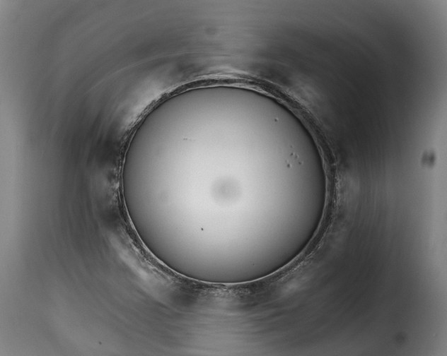 X0000115271355200911201719