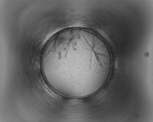 X0000115271356200911201719