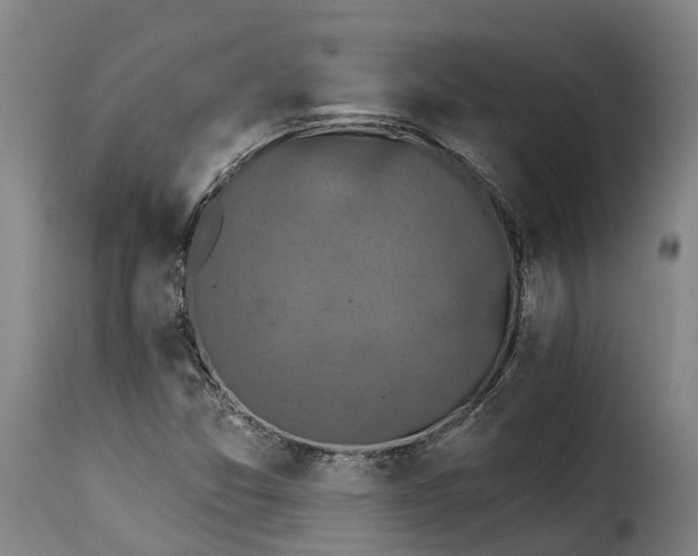 X0000115271357200911201719