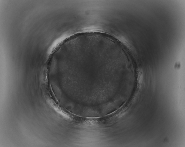 X0000115271358200911201719
