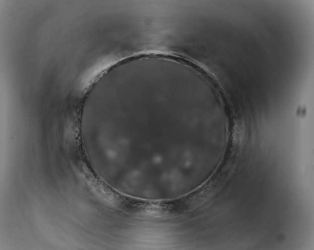 X0000115271359200911201719