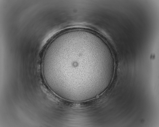 X0000115271360200911201719