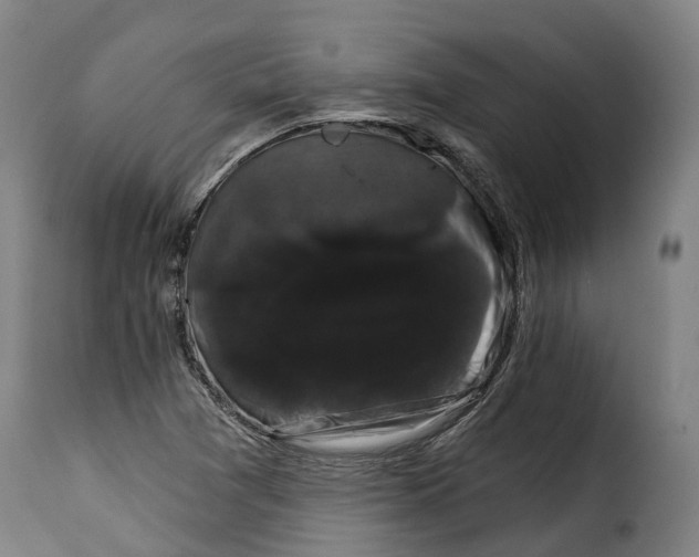 X0000115271361200911201719