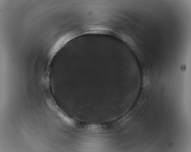 X0000115271362200911201719