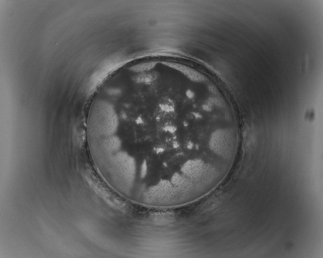 X0000115271363200911201719