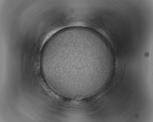 X0000115271364200911201719