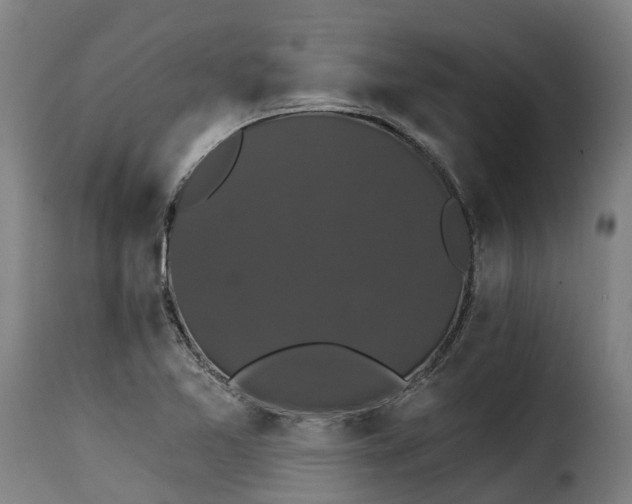 X0000115271365200911201719