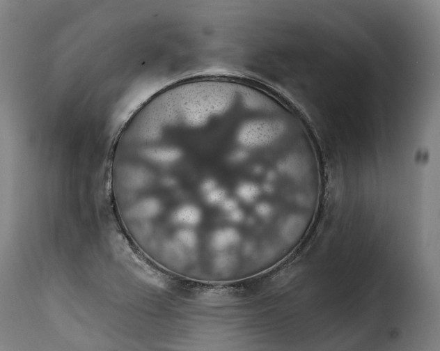 X0000115271367200911201719