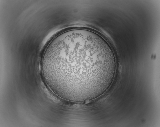 X0000115271368200911201719