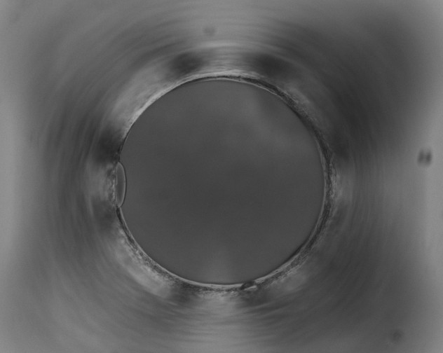 X0000115271369200911201719