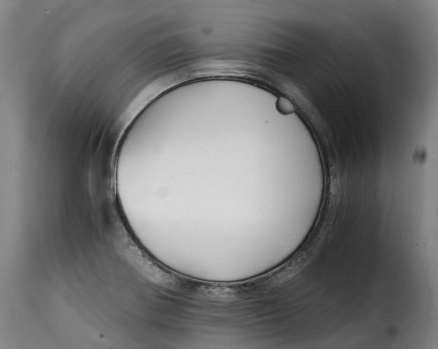 X0000115271370200911201719