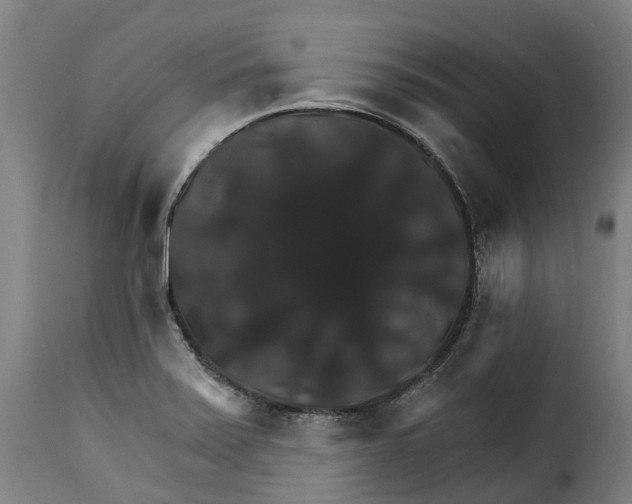 X0000115271371200911201719