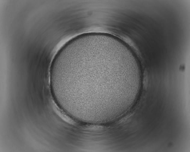 X0000115271372200911201719