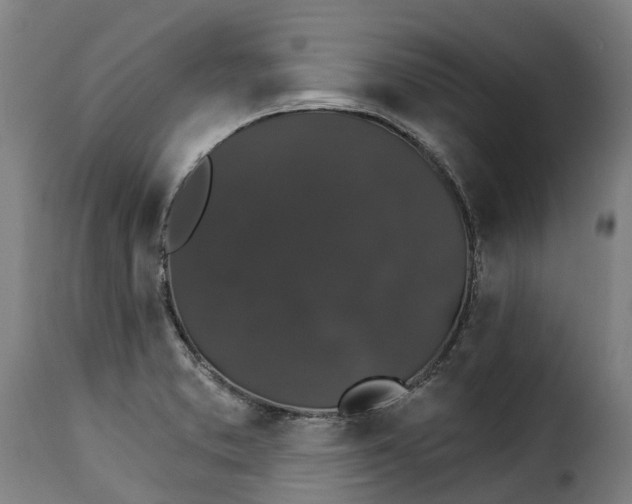 X0000115271373200911201719