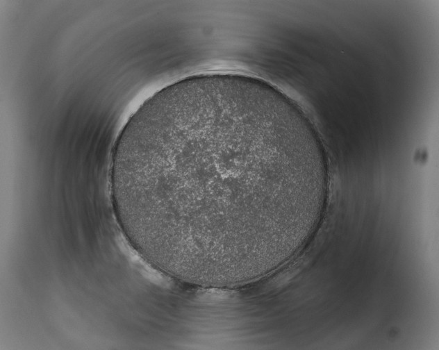 X0000115271374200911201719