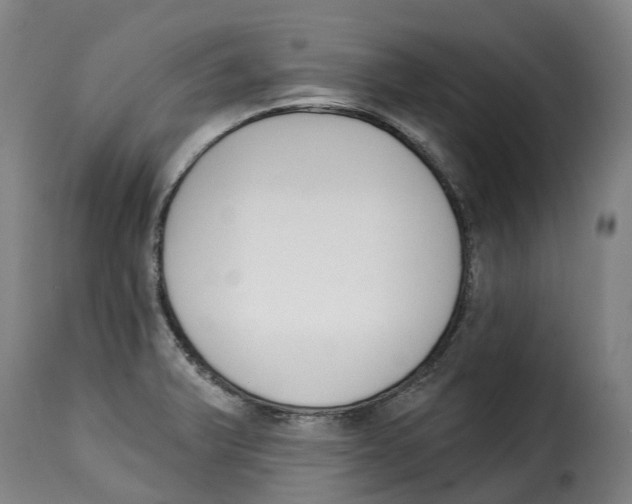 X0000115271375200911201719