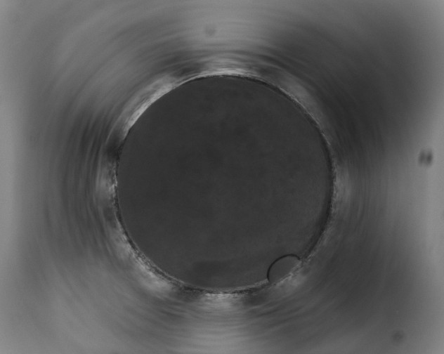 X0000115271377200911201719