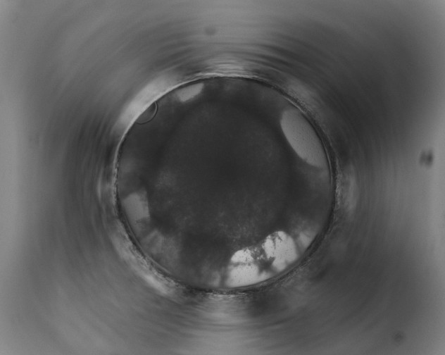 X0000115271378200911201719