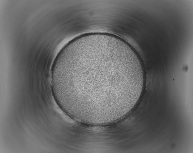 X0000115271380200911201719