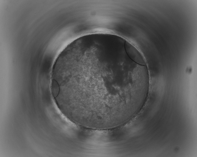 X0000115271381200911201719