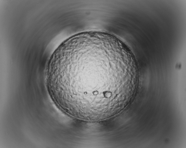X0000115271383200911201719