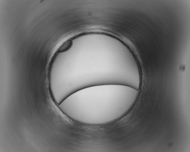 X0000115271384200911201719