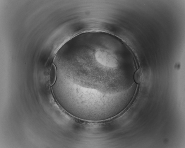 X0000115271385200911201719