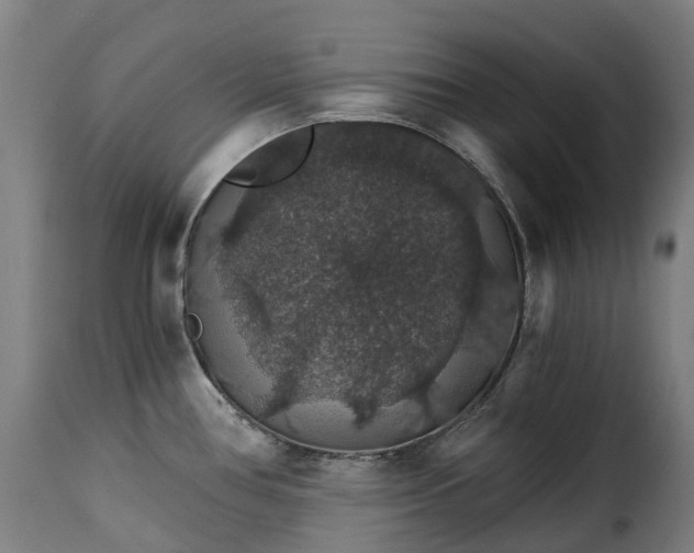 X0000115271386200911201719