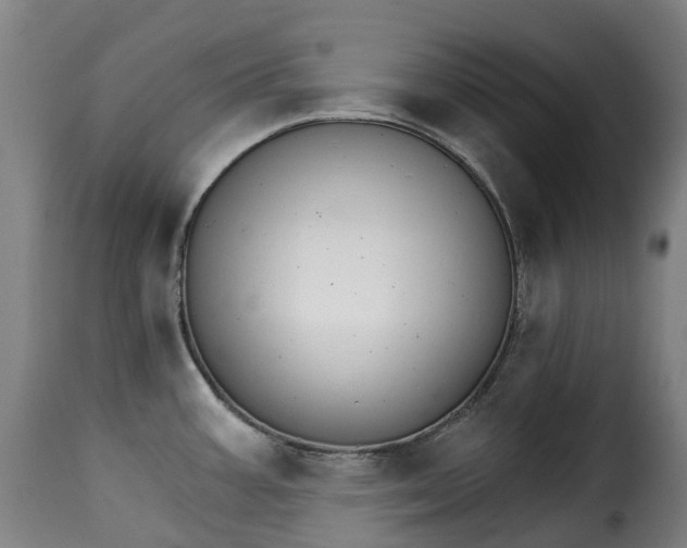 X0000115271387200911201719