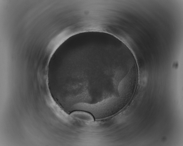 X0000115271389200911201719