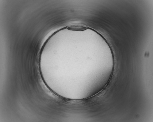 X0000115271392200911201719