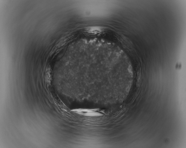 X0000115271394200911201718