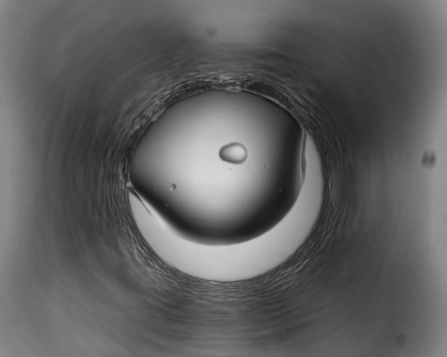 X0000115271395200911201718