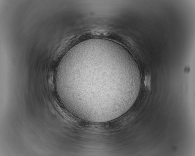 X0000115271396200911201718