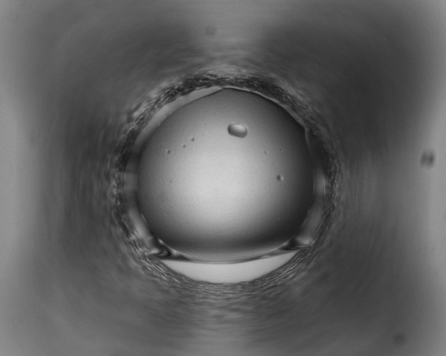 X0000115271397200911201718