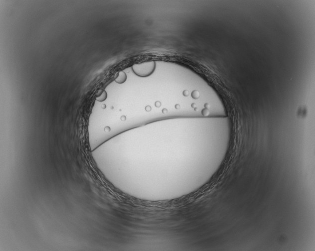 X0000115271398200911201718