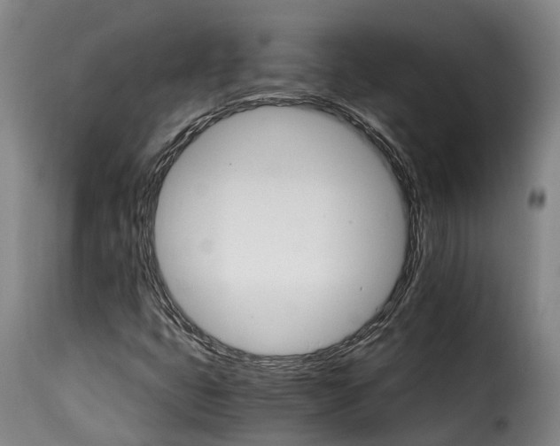X0000115271399200911201718