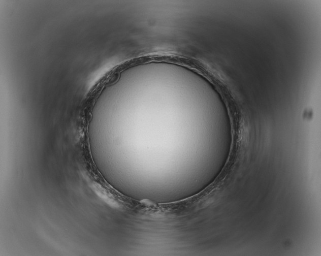 X0000115271400200911201718