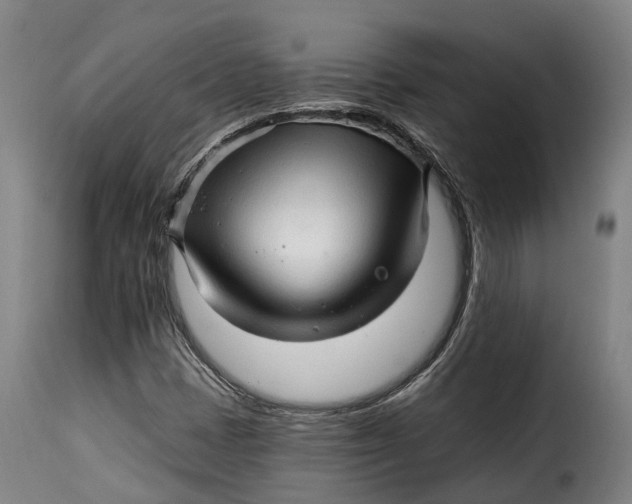 X0000115271401200911201718