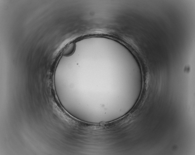 X0000115271404200911201718