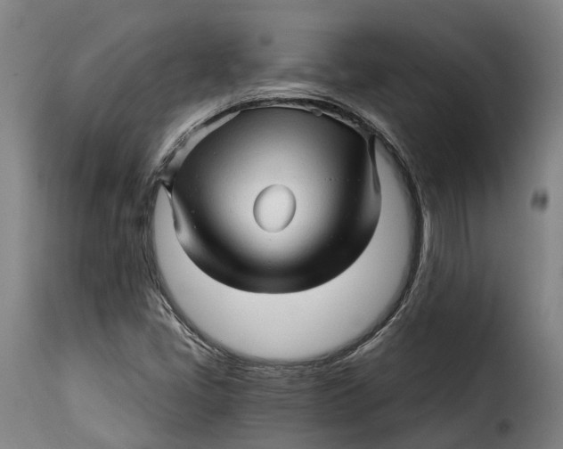 X0000115271405200911201718