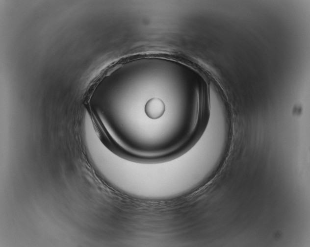 X0000115271407200911201718