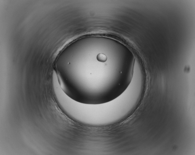 X0000115271409200911201718
