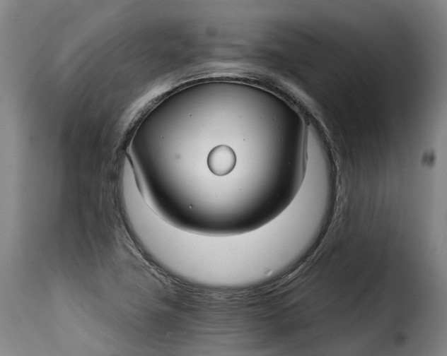 X0000115271411200911201718