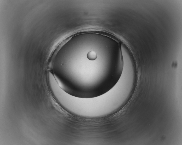 X0000115271413200911201718