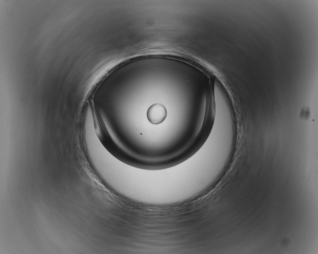 X0000115271415200911201718