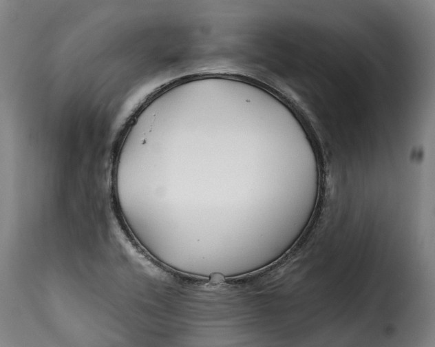 X0000115271416200911201718