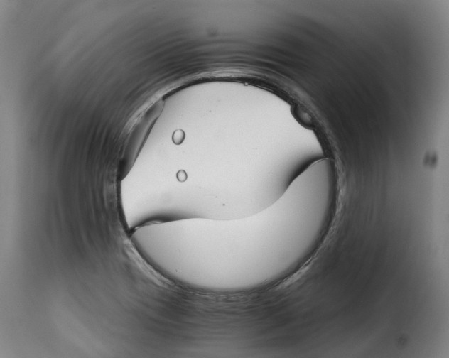 X0000115271417200911201718