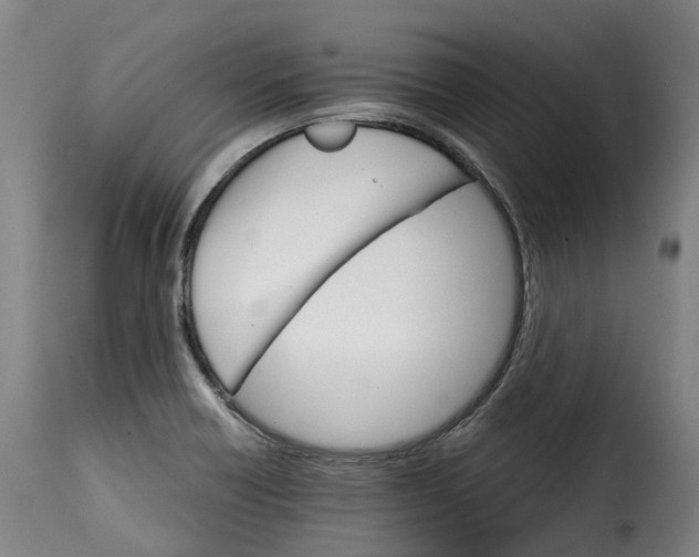 X0000115271418200911201718
